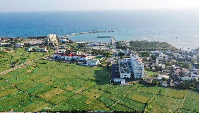 Phát triển sản xuất theo chuỗi giá trị được Lý Sơn định hướng gắn với tiêu chuẩn chất lượng
