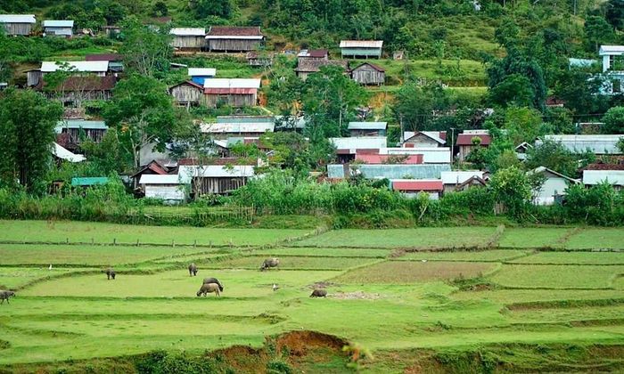 Thôn Vi Glơng, xã Kon Plông