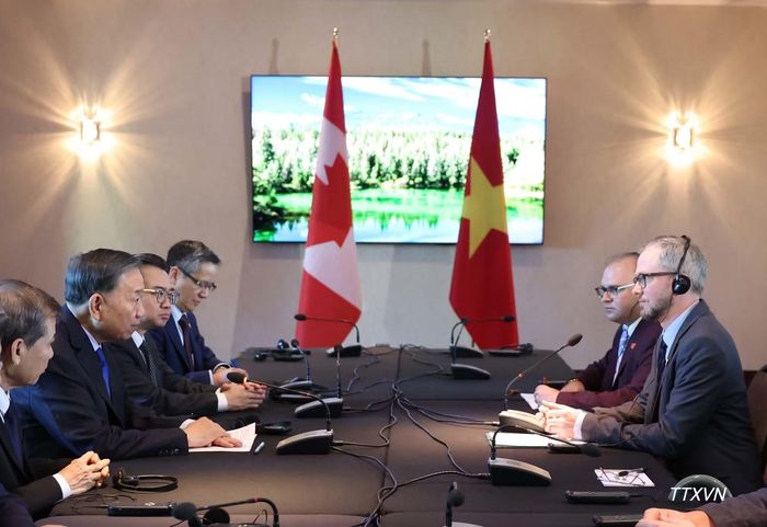  Tổng Bí thư, Chủ tịch nước Tô Lâm tiếp Tổng Bí thư Đảng Cộng sản Canada﻿ Drew Garvie. (Ảnh: Thống Nhất/TTXVN) 