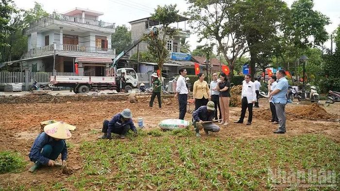 Phó Chủ tịch Ủy ban nhân dân thành phố Đà Nẵng Nguyễn Thị Anh Thi (áo vàng) kiểm tra công tác chuẩn bị tổ chức các hoạt động kỷ niệm 150 năm Ngày sinh cụ Huỳnh Thúc Kháng tại xã Thạnh Bình. (Ảnh: HQ)