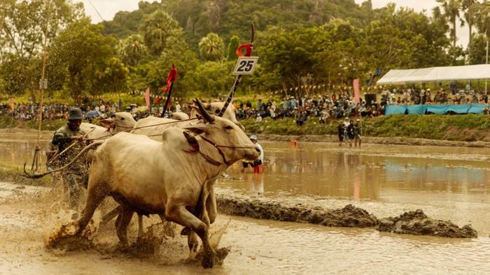 Thay vì sử dụng kỹ xảo dàn dựng, đoàn phim đã ghi hình trực tiếp tại những đường đua bùn lầy đặc trưng. (Ảnh: Đoàn phim cung cấp)