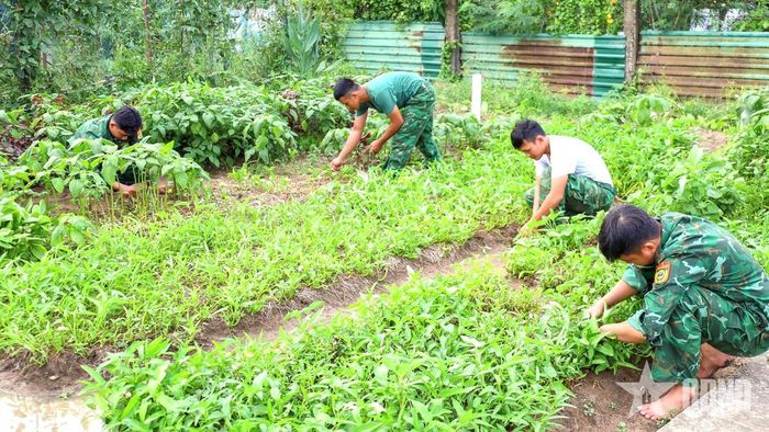 Chăm sóc khu vực tăng gia sản xuất, cải thiện đời sống.