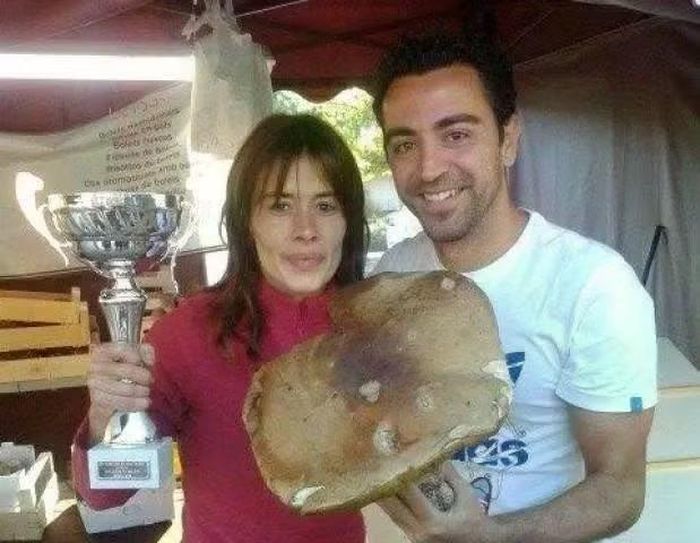 Huyền thoại Xavi Hernandez có niềm đam mê với nấm học và thường dành thời gian rảnh để vào rừng săn tìm những loại nấm quý. Ảnh: EPA.