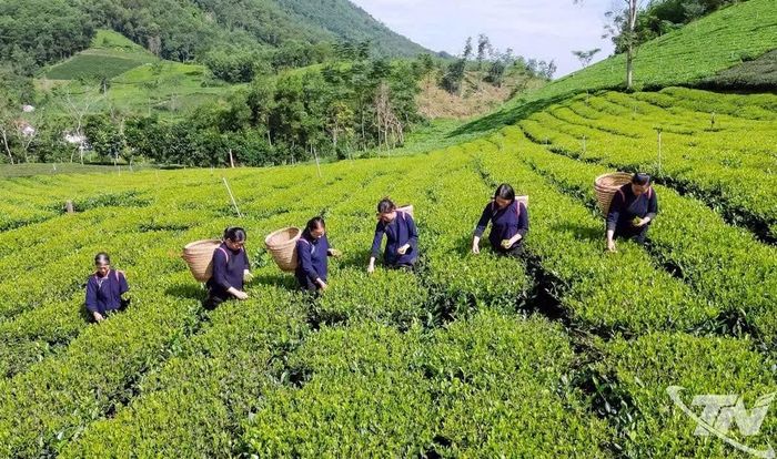 Việt Nam đã chính thức lựa chọn tăng trưởng xanh và kinh tế xanh làm định hướng phát triển trong các văn kiện chiến lược và pháp luật giai đoạn 2021-2030, tầm nhìn 2050. (Nguồn: Báo Thái Nguyên)