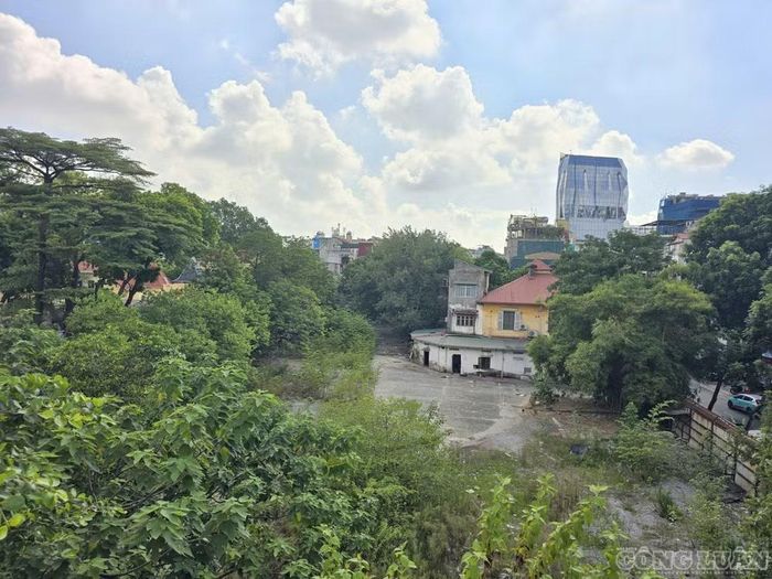 Khu đất trúng đấu giá có tổng diện tích 3.366 m2
