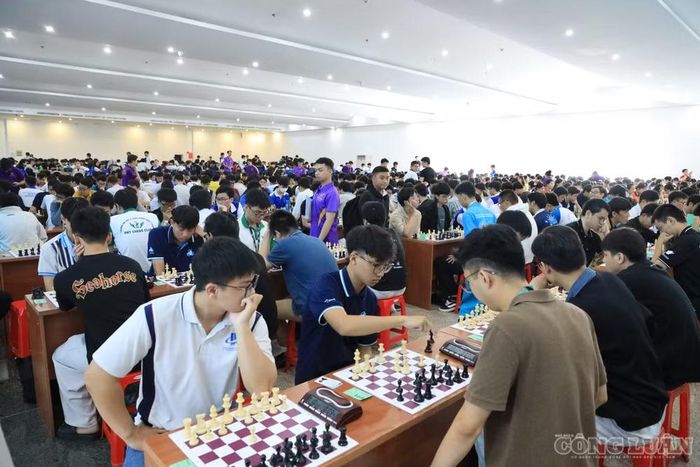 Sinh viên tham gia thi đấu cờ vua.