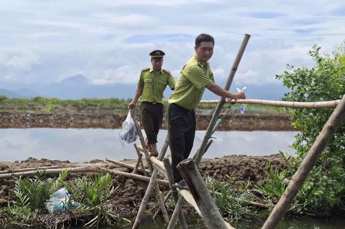 Huế tháo gỡ hàng nghìn dụng cụ bẫy.