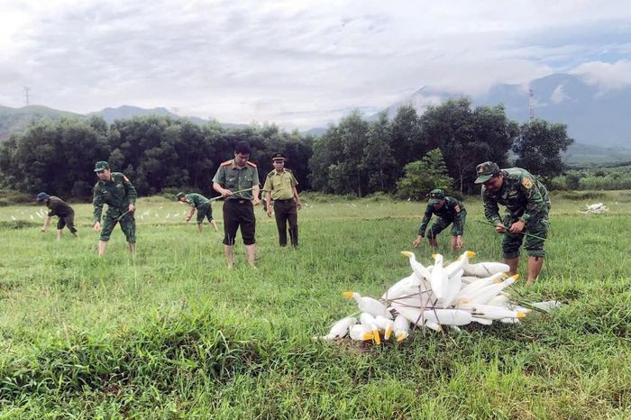 Đốt tiêu hủy cò giả dùng để bẫy chim, cò.