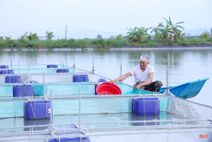Ông Nguyễn Văn Cát (thôn Bình Tiến, xã Cẩm Bình) phấn khởi thả nuôi lứa cá chạch mới, tiếp tục mở rộng mô hình.