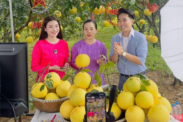 Hà Tĩnh khuyến khích thúc đẩy mua sắm trực tuyến, quảng bá và kết nối tiêu thụ sản phẩm OCOP, nông sản địa phương trên môi trường số.