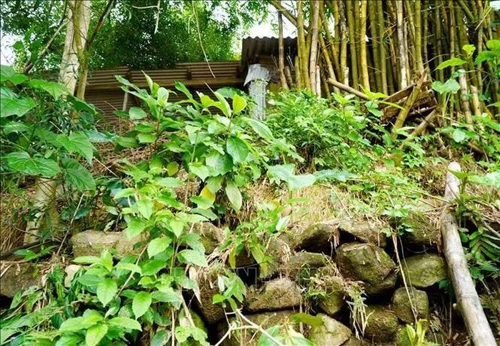 Người dân thôn Đồng A gia cố đá hộc hạn chế tình trạng xói lở, bảo vệ tài sản.
