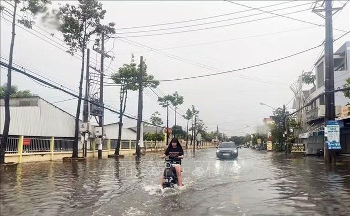 Đợt mưa lớn vừa qua không chỉ gây ngập cục bộ tại các địa phương vùng sản xuất mà còn ở trung tâm nội ô tỉnh Cà Mau.