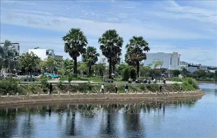 Cá chết hàng loạt tại Hồ điều hòa Hồ Sơn, phường Tuy Hòa.