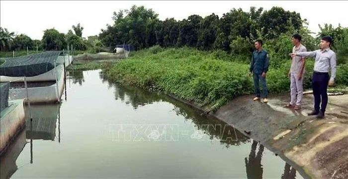 Đối với những chân ruộng trũng khó canh tác trước đây, anh Lại Văn Thành (áo xanh) chuyển sang nuôi ếch kết hợp thả cá cho thu nhập cao gấp nhiều lần so với trồng lúa.