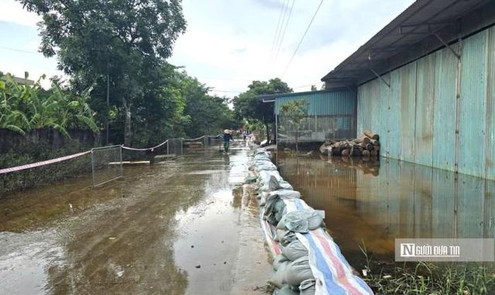 Hàng trăm mét bờ bao được đắp để ngăn nước từ ruộng tràn vào trường học.