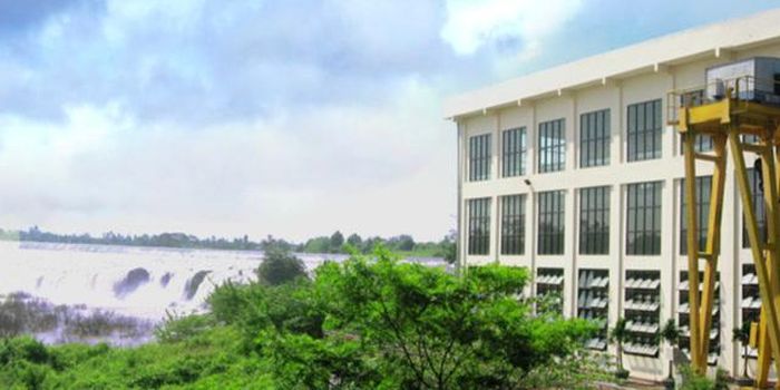 DRL tiếp tục duy trì mức chi trả cổ tức đáng chú ý khi chuẩn bị tạm ứng 15% cho năm 2026, tương đương khoảng 14,25 tỷ đồng (Ảnh: DRL).