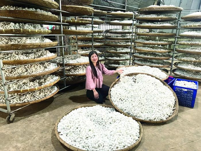 Chị Lương Thanh Hạnh, Chủ nhiệm HTX Lụa đũi Nam Cao