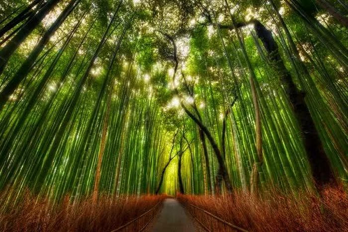 Ảnh: Trey Ratcliff trên Flickr