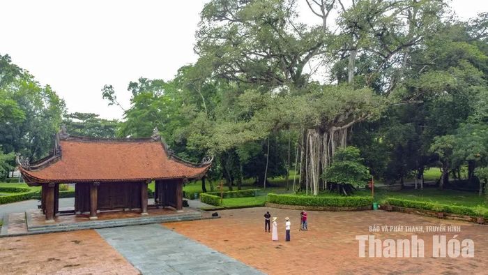 Bên phải nghi môn là cây đa thị hàng trăm năm tuổi, thân cây lớn đến mức cả chục người ôm mới xuể.