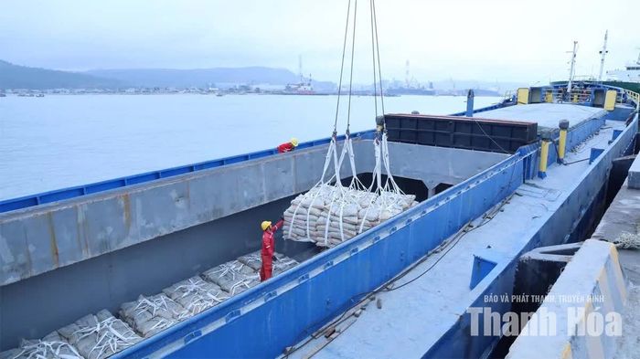 Thanh Hóa đặt mục tiêu kim ngạch xuất khẩu hàng hóa đạt 8 tỷ UDS trong năm nay.