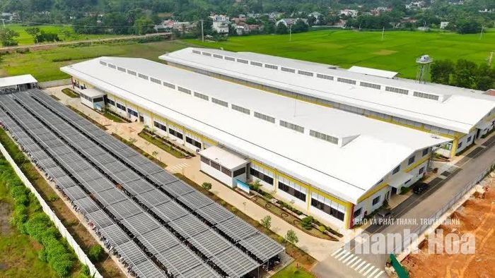Quỹ đất được rà soát, khai thác phù hợp, góp phần tạo thêm dư địa thu hút đầu tư vào Thạch Lập.