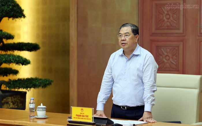 Phó Thủ tướng Thường trực Phạm Gia Túc phát biểu tại cuộc làm việc với các hiệp hội, doanh nghiệp tiêu biểu ngành hàng nông, lâm, thủy sản. Ảnh: chinhphu.vn/Phương Nguyên.