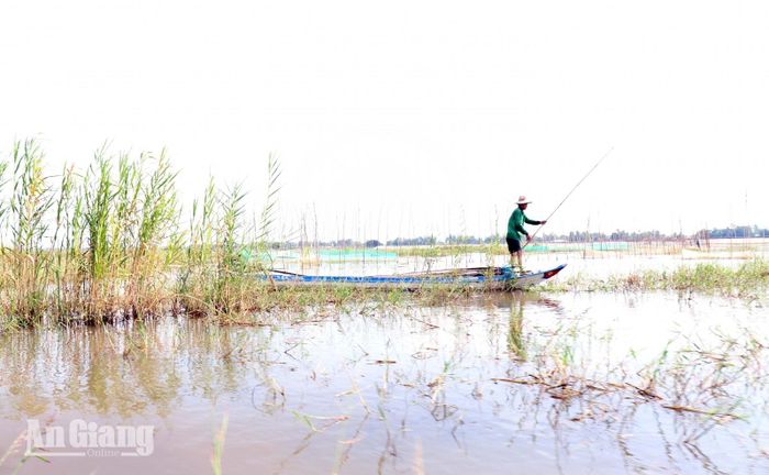Trải nghiệm và tìm hiểu nhịp sống mưu sinh của người dân miền Tây mùa nước nổi.