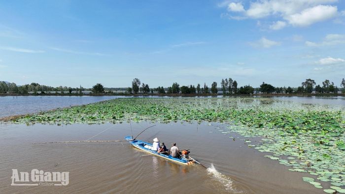 Đi vỏ lãi dạo quanh các cánh đồng ngập nước ngắm cảnh đẹp tự nhiên.