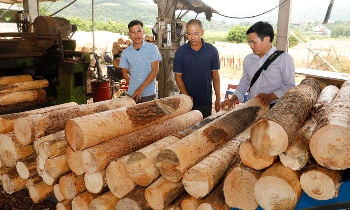  Xưởng chế biến gỗ tại thôn Thum Ruồng, xã Đèo Gia của Công ty trách nhiệm hữu hạn Thu mua và Chế biến ván bóc Minh Đức. 