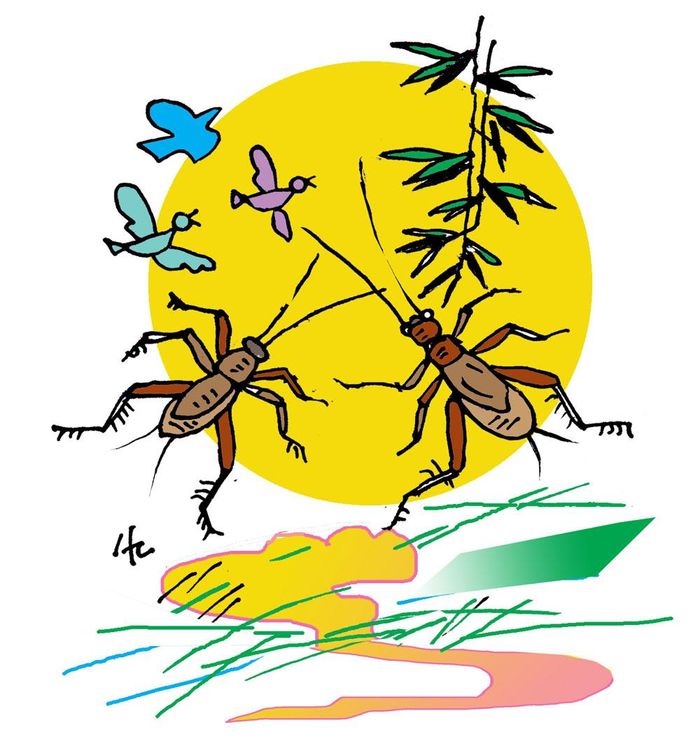 Minh họa: Hà Huy Chương.