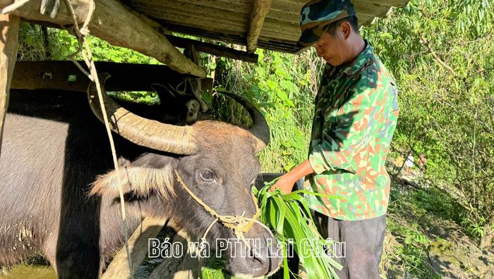 Ông Hảng A Vư tích cực lao động sản xuất, phát triển kinh tế gia đình.