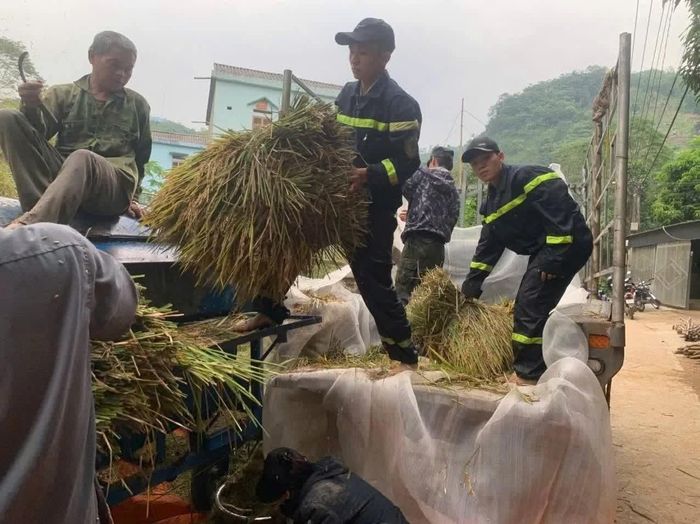 Thắm tình quân dân.