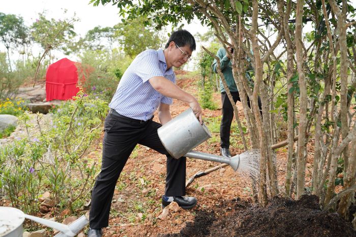 Đồng chí Nguyễn Hồng Hải, Phó Chủ tịch Thường trực UBND tỉnh Lâm Đồng chăm sóc bằng lăng sau khi trồng (Ảnh: Hữu Tri)