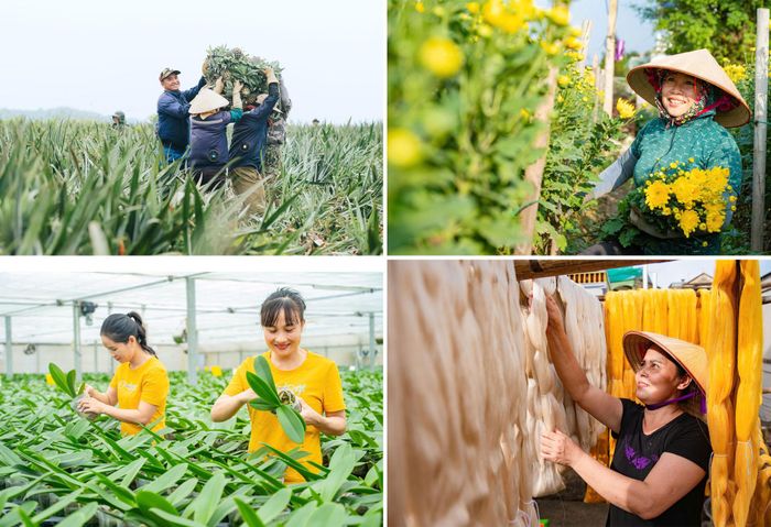 Đa dạng hóa sản xuất, nâng cao giá trị nông sản và sản phẩm làng nghề, góp phần tạo sinh kế bền vững cho người dân.