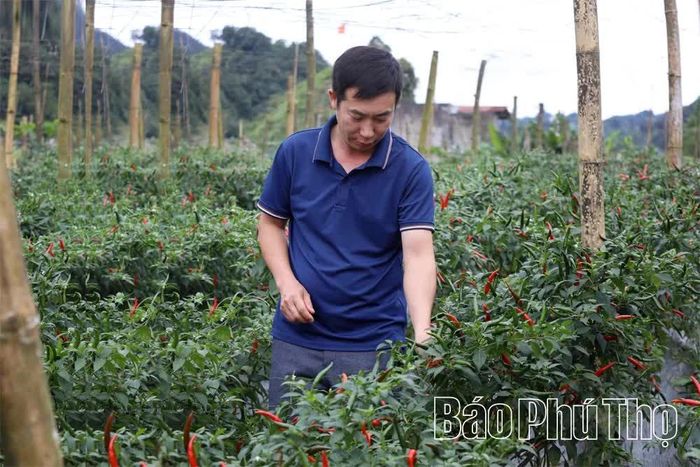 Gia đình anh Sùng A Dông phấn khởi khi những đoạn đường mới được mở, nông sản của gia đình tiêu thụ thuận lợi và được giá hơn.