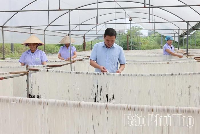 Anh Cao Đăng Duy kiểm tra sản phẩm mì sợi phở của HTX.