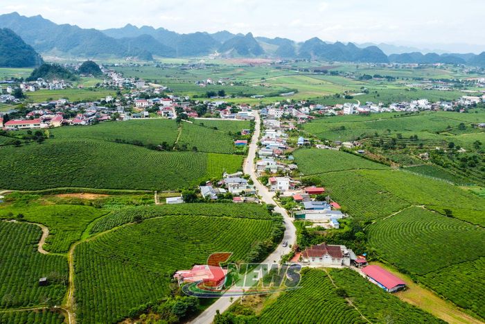 Khu vực quy hoạch phát triển đô thị và vùng sản xuất chè phường Thảo Nguyên.