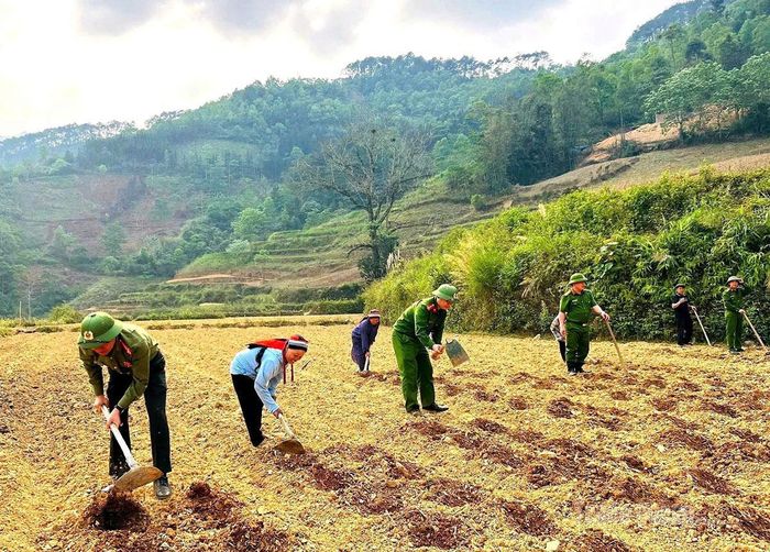 Cán bộ, chiến sĩ Công an xã Cán Tỷ cùng bà con làm đất trồng rau vụ đông.