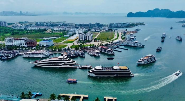 Doanh thu du lịch của Quảng Ninh trong 9 tháng đạt 56.400 tỷ đồng. Ảnh T.T