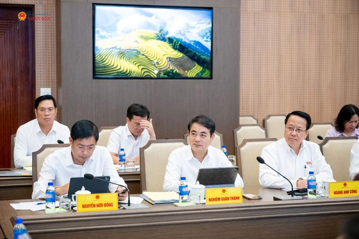 Đại biểu tham dự cuộc làm việc