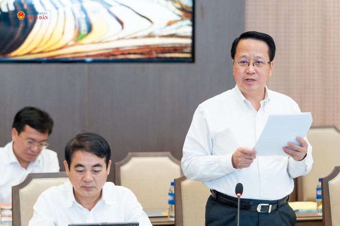Phó Chủ nhiệm Ủy ban Dân nguyện và Giám sát, thành viên Ban Chỉ đạo, Tổ trưởng Tổ Soạn thảo Hoàng Anh Công phát biểu