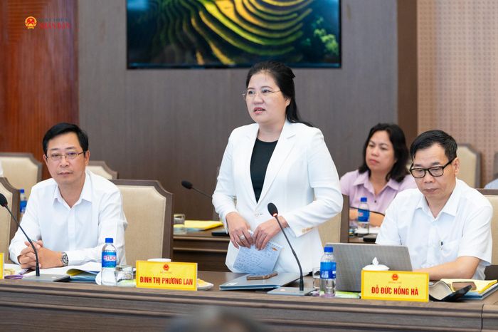 Phó Chủ tịch Hội đồng Dân tộc Đinh Thị Phương Lan, thành viên Ban Chỉ đạo phát biểu