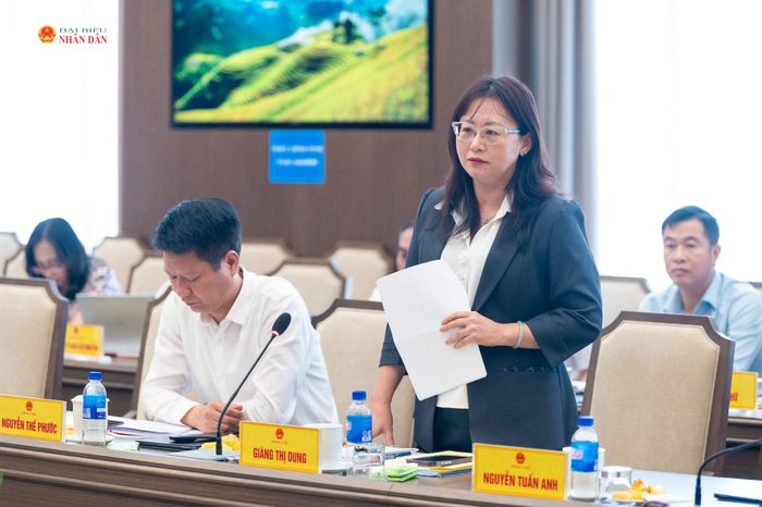 Phó Bí thư Tỉnh ủy, Trưởng đoàn ĐBQH tỉnh Lào Cai Giàng Thị Dung phát biểu