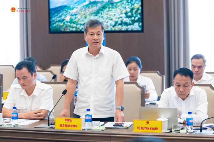 Phó Chủ tịch Thường trực UBND tỉnh Lào Cai Ngô Hạnh Phúc phát biểu