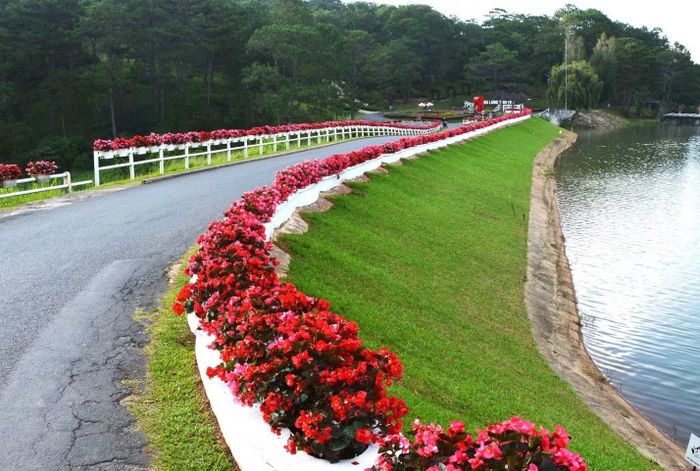 Festival Hoa Đà Lạt lần thứ XI năm 2026 dự kiến diễn ra từ ngày 19 đến 31/12/2026.