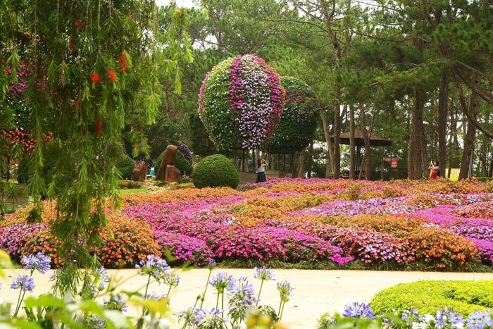 Sắc hoa ngập tràn Đà Lạt.