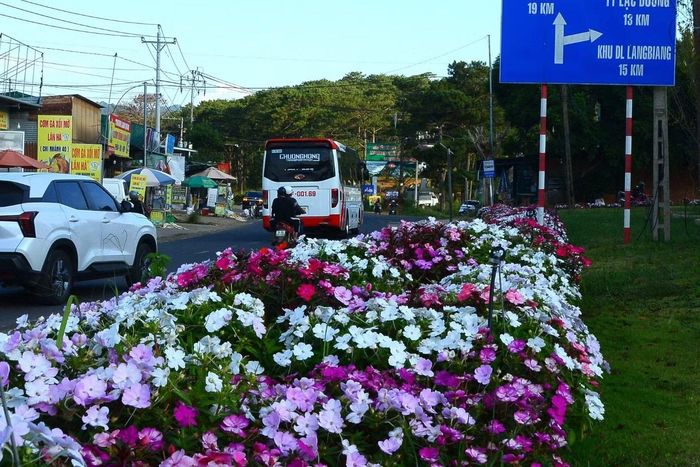 Không gian hoa trên các tuyến đường trở thành điểm nhấn đặc biệt.