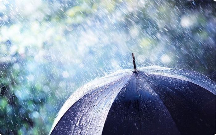 Đến ngày 05/10, Bắc Bộ và Bắc Trung Bộ: có mưa rào và dông vài nơi. Ảnh minh họa: canva.