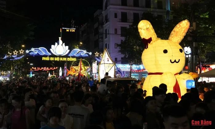 Các mô hình đèn thắp sáng Phố đi bộ Kim Đồng.