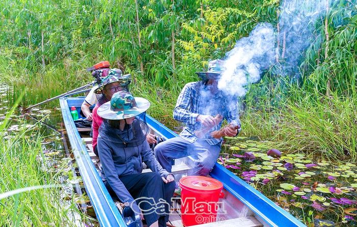 Từ nghề gác kèo ong của gia đình, anh Phạm Văn Khanh phát triển thêm sản phẩm du lịch trải nghiệm giữa rừng tràm.